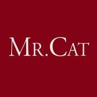 Mr Cat